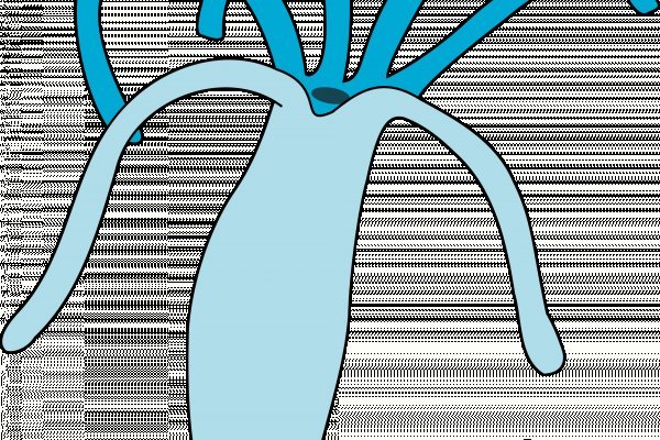 Кракен онион ссылка на тор